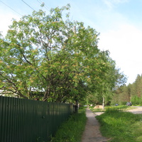 пос. Краснозатонский (Сыктывкар) 2014 - ул. Трактовая