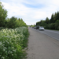 пос. Краснозатонский (Сыктывкар) 2014