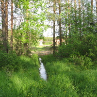 пос. Краснозатонский (Сыктывкар) 2014 - ул. Трактовая