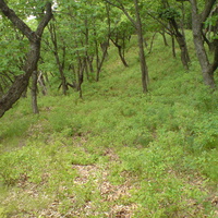 Внутреннее заселение Бохая.