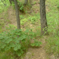 Крепостной вал.