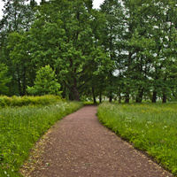 Дорожка в Верхнем парке