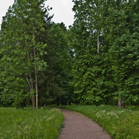 Дорожка в Верхнем парке