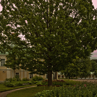 Сад Большого Меншиковского дворца