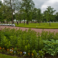 Сад Большого Меншиковского дворца