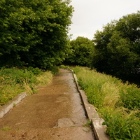 Спуск к Оке, к пристане Бочманово