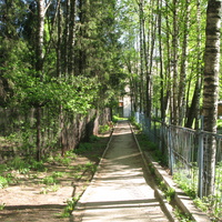 Сыктывкар 2014