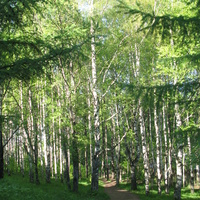 Сыктывкар 2014 - с ул. Карла Маркса