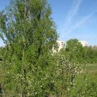 Сыктывкар 2014 - ул. Карла Маркса