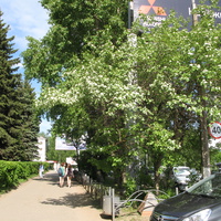 Сыктывкар 2014 - ул. Коммунистическая