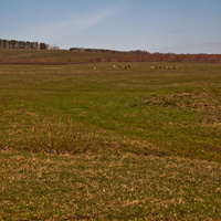 Алтаевские поля