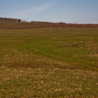 Алтаевские поля
