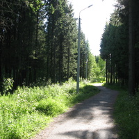 Сыктывкар 2014