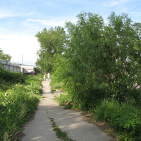 Сыктывкар 2014 - ул. Колхозная