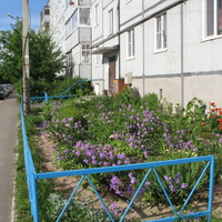 Сыктывкар 2014