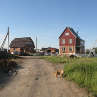 Выльгорт 2014 - ул. Шишкина