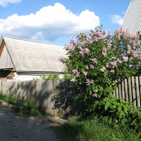 Выльгорт 2014 - ул. Шишкина