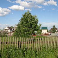 Выльгорт 2014