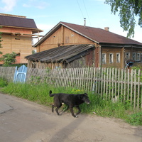 Сыктывкар 2014 - Давпон