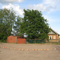 Сыктывкар 2014 - Давпон