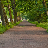 Александровский парк
