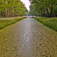 Канал в парке