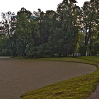 Кухонный пруд