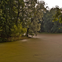 Кухонный пруд