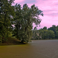 Кухонный пруд