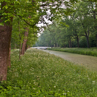 Александровский парк