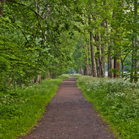 Александровский парк