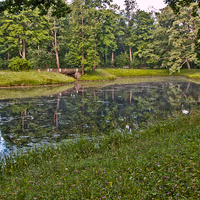 Александровский парк