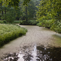 Александровский парк