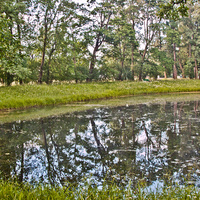 Александровский парк