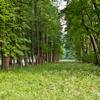 Александровский парк