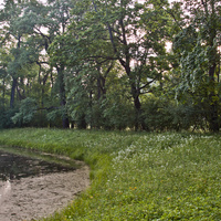 Александровский парк