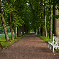 Александровский парк