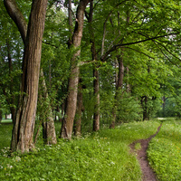 Александровский парк