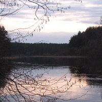 Река Торопа, вид на исток из озера Сельское
