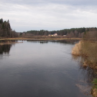 Река Торопа у деревни Хворостьево