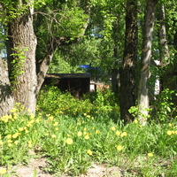 Сыктывкар 2014 - ул. Орджоникидзе