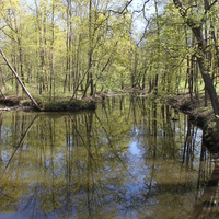 Марьино. Дворцово-парковый ансамбль XIX века.