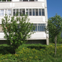 Сыктывкар 2014  - Орбита