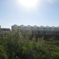 Сыктывкар 2014 -  ул. Тентюковская