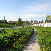 Сыктывкар 2014 -  ул. Тентюковская