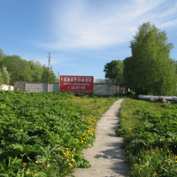 Сыктывкар 2014 -  ул. Тентюковская