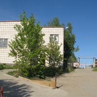 Сыктывкар 2014 -  ул. Тентюковская