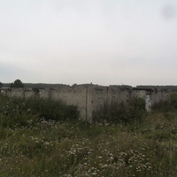 Развалины бывшего хозяйства-2