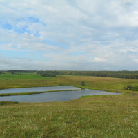 Местный пруд на реке Крутиха