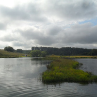 Местный пруд на реке Крутиха-2
